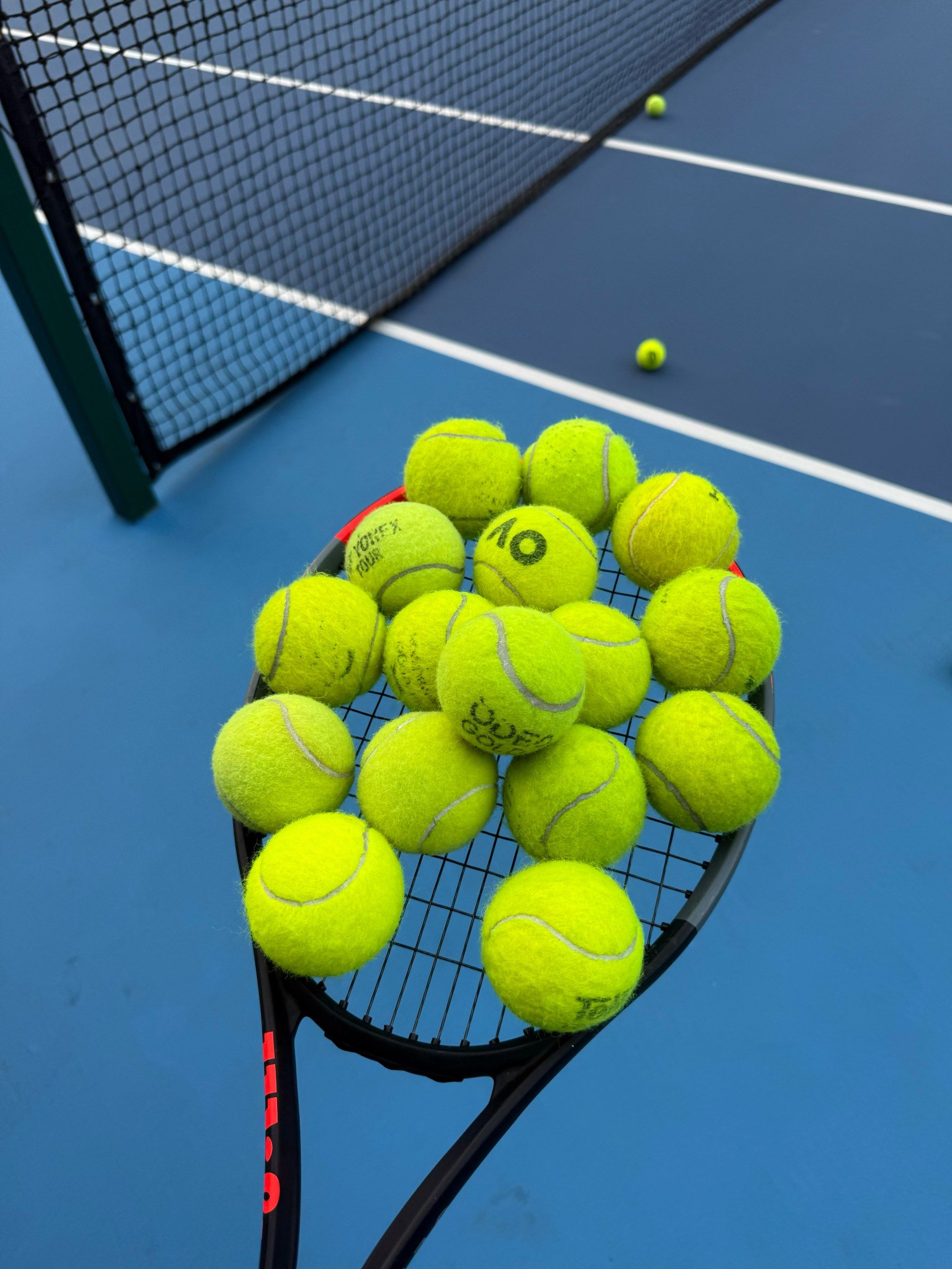 容中的稳定 容中的稳定