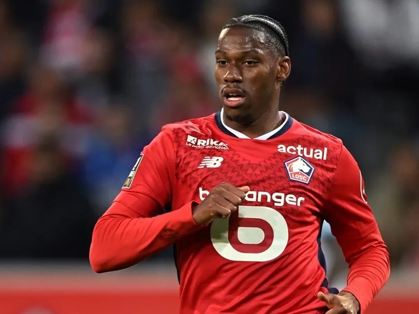 他们期望教 他们期望教